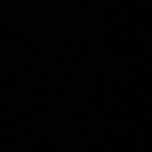 Meet your Posher, Whitney